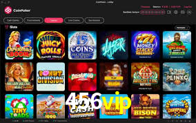 456vip App Interface